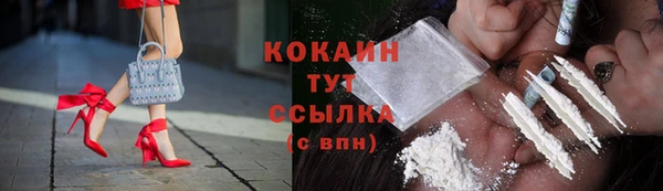 мдма Ельня