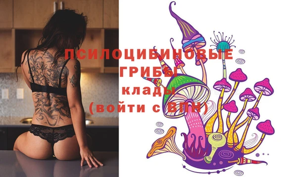мескалин Елабуга