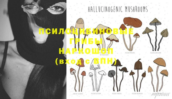 мескалин Елабуга