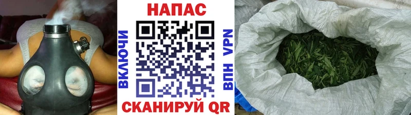Каннабис SATIVA & INDICA Кувандык